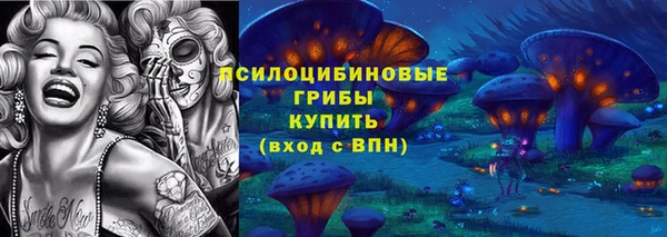 СК Магадан